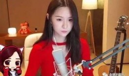 晋江二姐阿施爆料视频播放,揭秘幕后真相