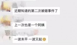 老灯爆料视频大全集最新,揭秘娱乐圈幕后真相