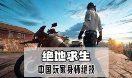 绝地求生故事爆料大全最新,揭秘故事爆料大全背后的惊险历程