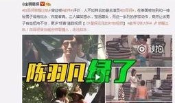 鱼仔被爆料出轨视频,真相与争议