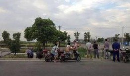 成都公园舆论爆料案例视频,视频揭示公园管理争议