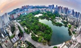 大渡口最新爆料新闻,揭秘事件背后惊人真相