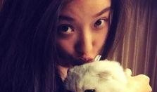 娱乐吃瓜酱虐猫小说,娱乐吃瓜酱的黑暗面揭露