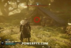 启示之音爆料视频大全