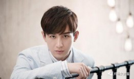 成毅天涯爆料视频,娱乐圈背后的惊人真相