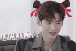 刘大锤爆料白敬亭视频,揭秘明星幕后趣事