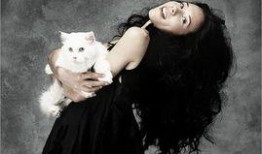 白川麻衣在线观看,在线观看，揭开神秘面纱的美丽传奇