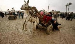 爆料二驴卖车是真的吗视频,爆料视频揭示惊人内幕