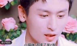 李晨父亲爆料视频大全,揭秘星二代背后的故事