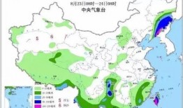 苏力在哪里爆料的新闻,揭秘事件背后惊人真相