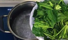 网红小菜吃瓜,揭秘娱乐圈幕后故事