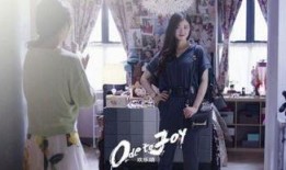 在线观看欢乐颂大结局,五美命运揭晓，情感纠葛终落幕