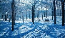 初雪在线观看,浪漫邂逅，暖冬情缘在线观看攻略